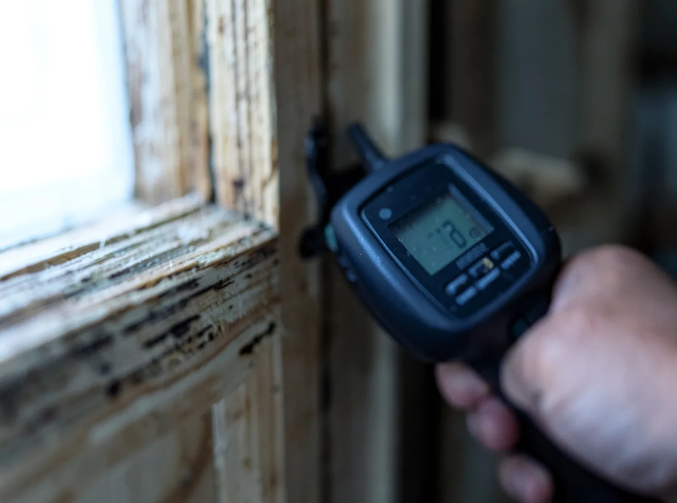 Moisture Inspection And Documentation in Woodridge, IL